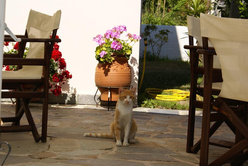 Andrianna Apartments Ammoudia Quarto foto
